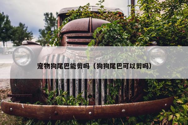 宠物狗尾巴能剪吗（狗狗尾巴可以剪吗）