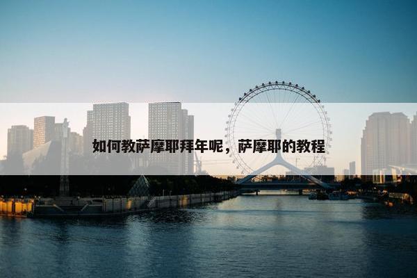 如何教萨摩耶拜年呢，萨摩耶的教程