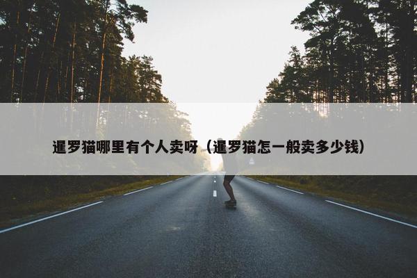 暹罗猫哪里有个人卖呀（暹罗猫怎一般卖多少钱）