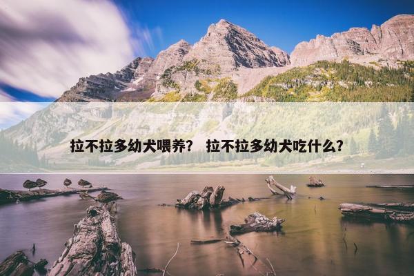 拉不拉多幼犬喂养？ 拉不拉多幼犬吃什么？