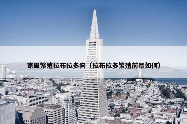 家里繁殖拉布拉多狗（拉布拉多繁殖前景如何）