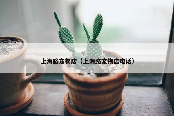 上海路宠物店（上海路宠物店电话）