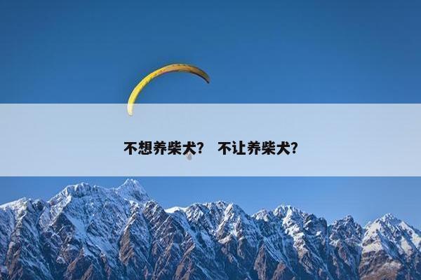 不想养柴犬？ 不让养柴犬？