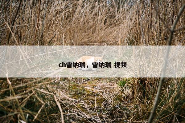 ch雪纳瑞，雪纳瑞 视频