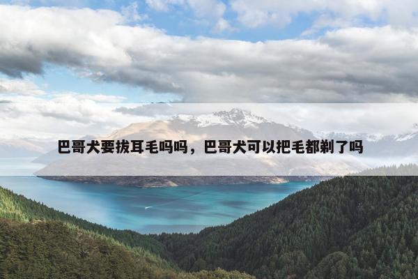 巴哥犬要拔耳毛吗吗，巴哥犬可以把毛都剃了吗