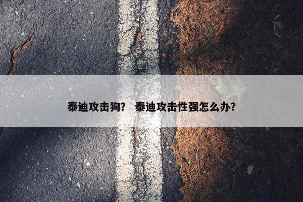 泰迪攻击狗？ 泰迪攻击性强怎么办？