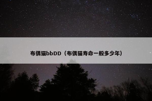 布偶猫bbDD（布偶猫寿命一般多少年）