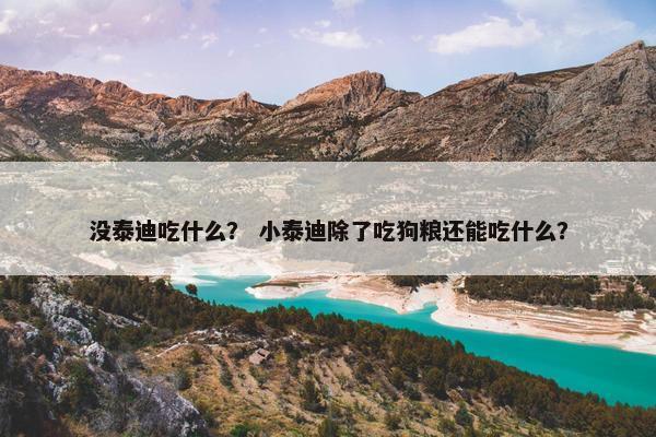 没泰迪吃什么？ 小泰迪除了吃狗粮还能吃什么？