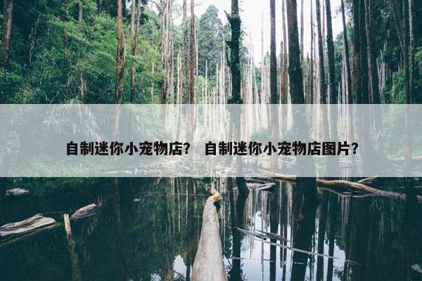 自制迷你小宠物店？ 自制迷你小宠物店图片？