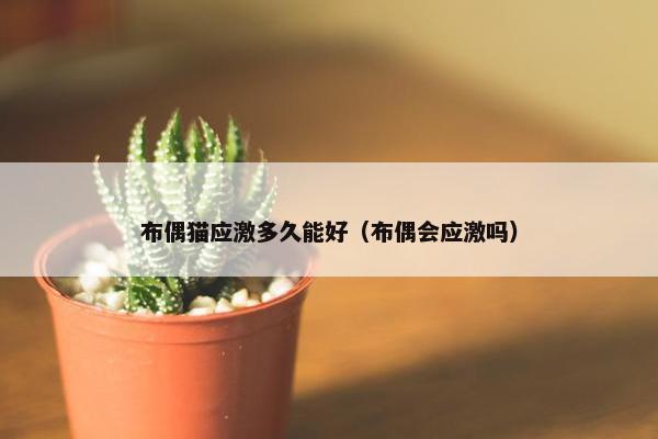 布偶猫应激多久能好（布偶会应激吗）