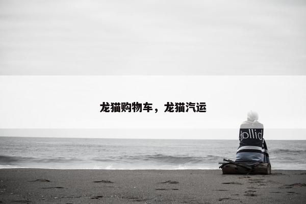龙猫购物车，龙猫汽运