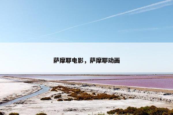 萨摩耶电影，萨摩耶动画