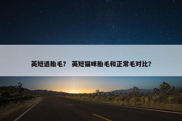 英短退胎毛？ 英短猫咪胎毛和正常毛对比？