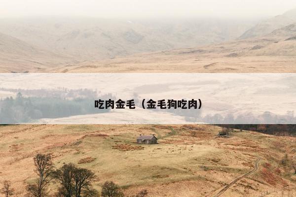 吃肉金毛（金毛狗吃肉）