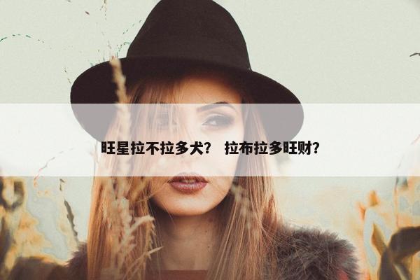旺星拉不拉多犬？ 拉布拉多旺财？