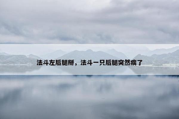 法斗左后腿掰，法斗一只后腿突然瘸了