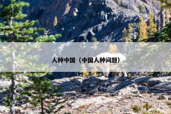人种中国（中国人种问题）