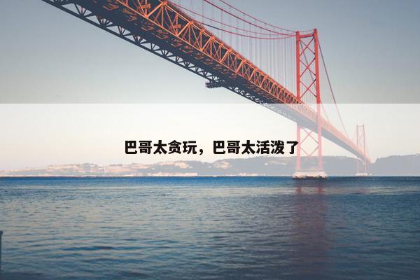 巴哥太贪玩，巴哥太活泼了