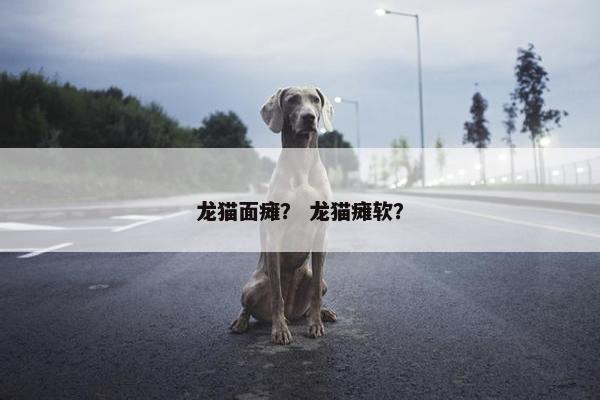 龙猫面瘫？ 龙猫瘫软？