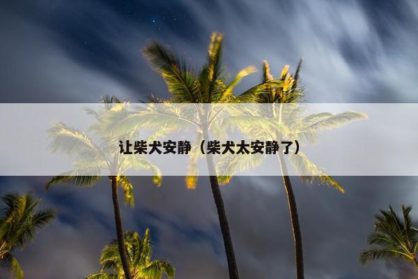 让柴犬安静（柴犬太安静了）