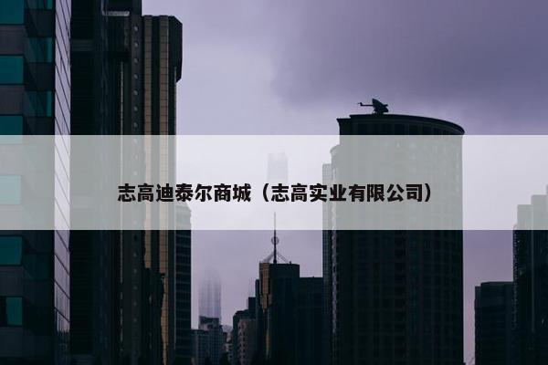 志高迪泰尔商城（志高实业有限公司）