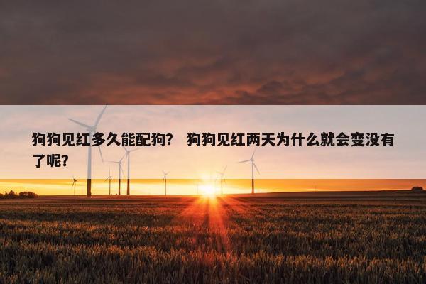 狗狗见红多久能配狗？ 狗狗见红两天为什么就会变没有了呢？