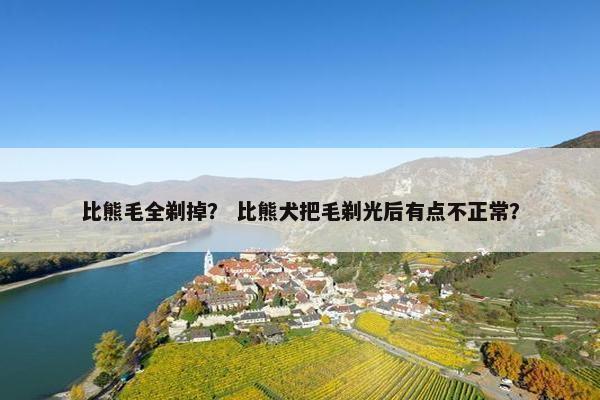 比熊毛全剃掉？ 比熊犬把毛剃光后有点不正常？