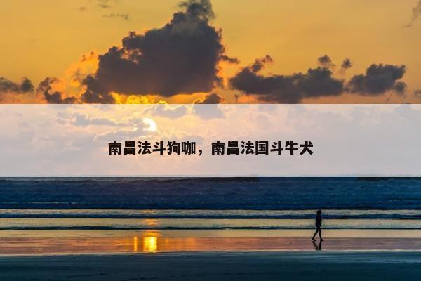 南昌法斗狗咖，南昌法国斗牛犬