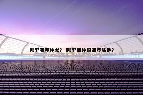 哪里有纯种犬？ 哪里有种狗饲养基地？