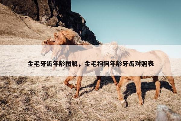 金毛牙齿年龄图解，金毛狗狗年龄牙齿对照表