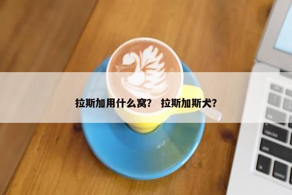 拉斯加用什么窝？ 拉斯加斯犬？
