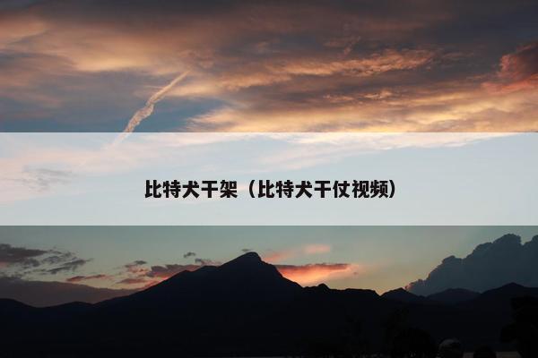 比特犬干架（比特犬干仗视频）