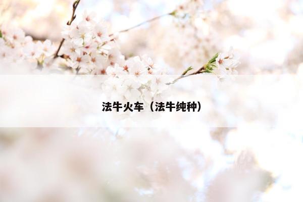 法牛火车（法牛纯种）