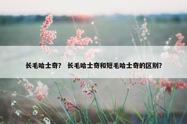 长毛哈士奇？ 长毛哈士奇和短毛哈士奇的区别？