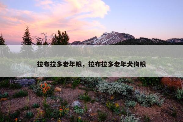 拉布拉多老年粮，拉布拉多老年犬狗粮