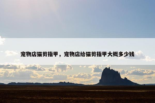 宠物店猫剪指甲，宠物店给猫剪指甲大概多少钱