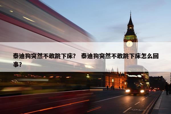 泰迪狗突然不敢跳下床？ 泰迪狗突然不敢跳下床怎么回事？
