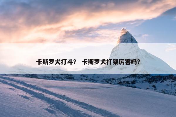卡斯罗犬打斗？ 卡斯罗犬打架厉害吗？