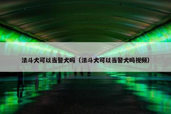 法斗犬可以当警犬吗（法斗犬可以当警犬吗视频）