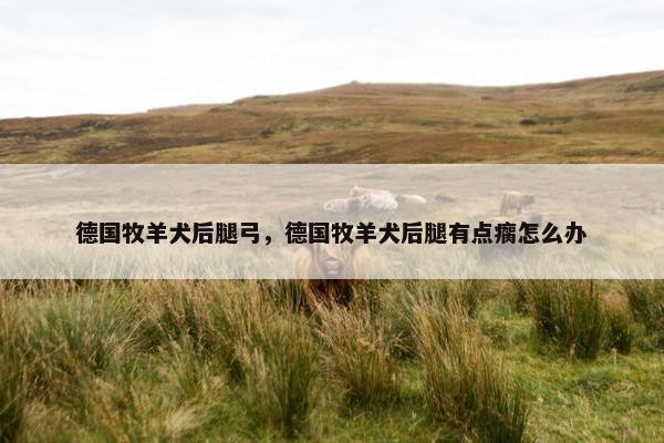 德国牧羊犬后腿弓，德国牧羊犬后腿有点瘸怎么办