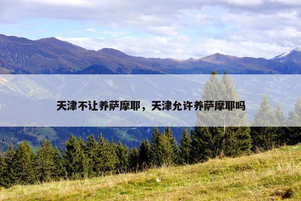 天津不让养萨摩耶，天津允许养萨摩耶吗