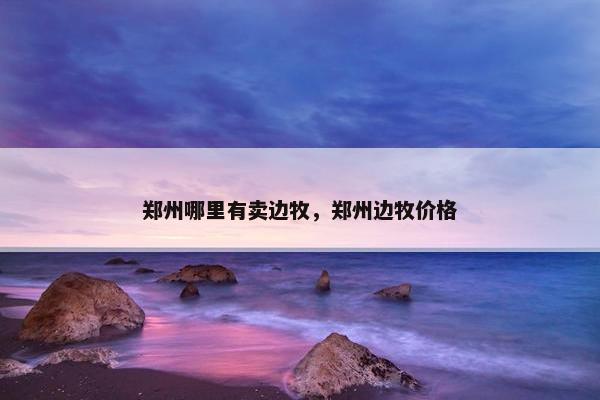 郑州哪里有卖边牧，郑州边牧价格