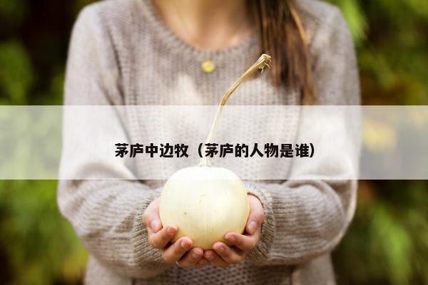 茅庐中边牧（茅庐的人物是谁）