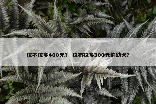 拉不拉多400元？ 拉布拉多300元的幼犬？