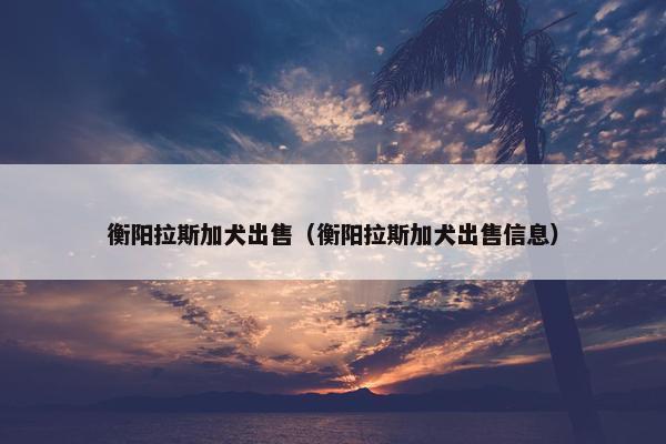 衡阳拉斯加犬出售（衡阳拉斯加犬出售信息）