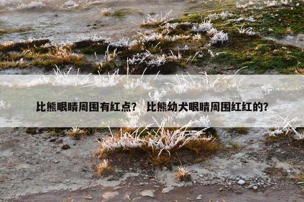 比熊眼睛周围有红点？ 比熊幼犬眼睛周围红红的？