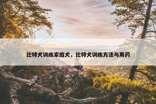 比特犬训练家庭犬，比特犬训练方法与用药