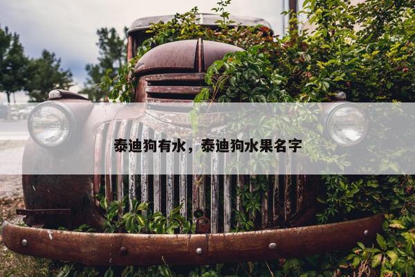 泰迪狗有水，泰迪狗水果名字
