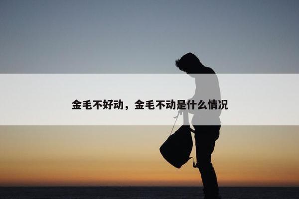 金毛不好动，金毛不动是什么情况