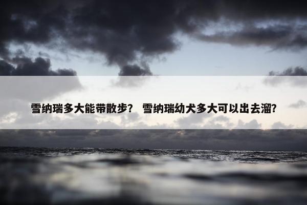 雪纳瑞多大能带散步？ 雪纳瑞幼犬多大可以出去溜？